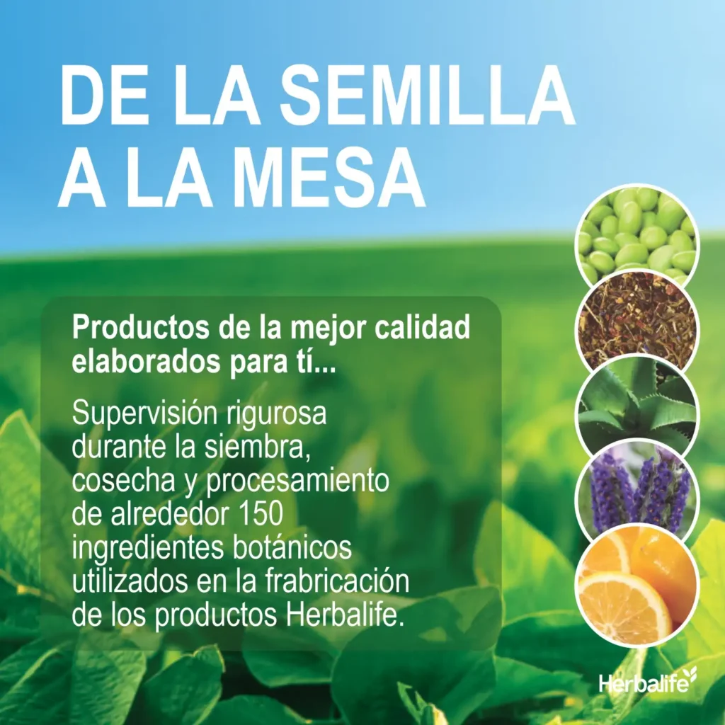 Calidad de productos Herbalife